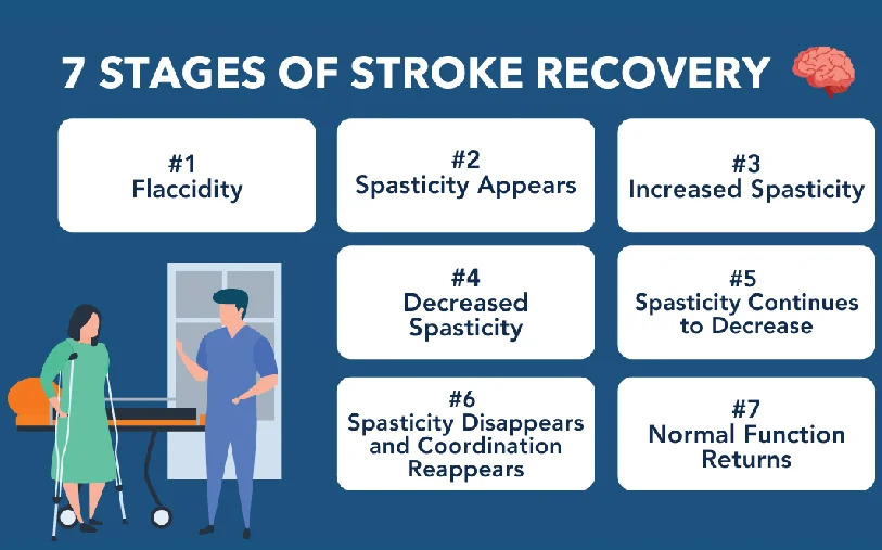How Neurorehabilitation Helps in Stroke Recovery
