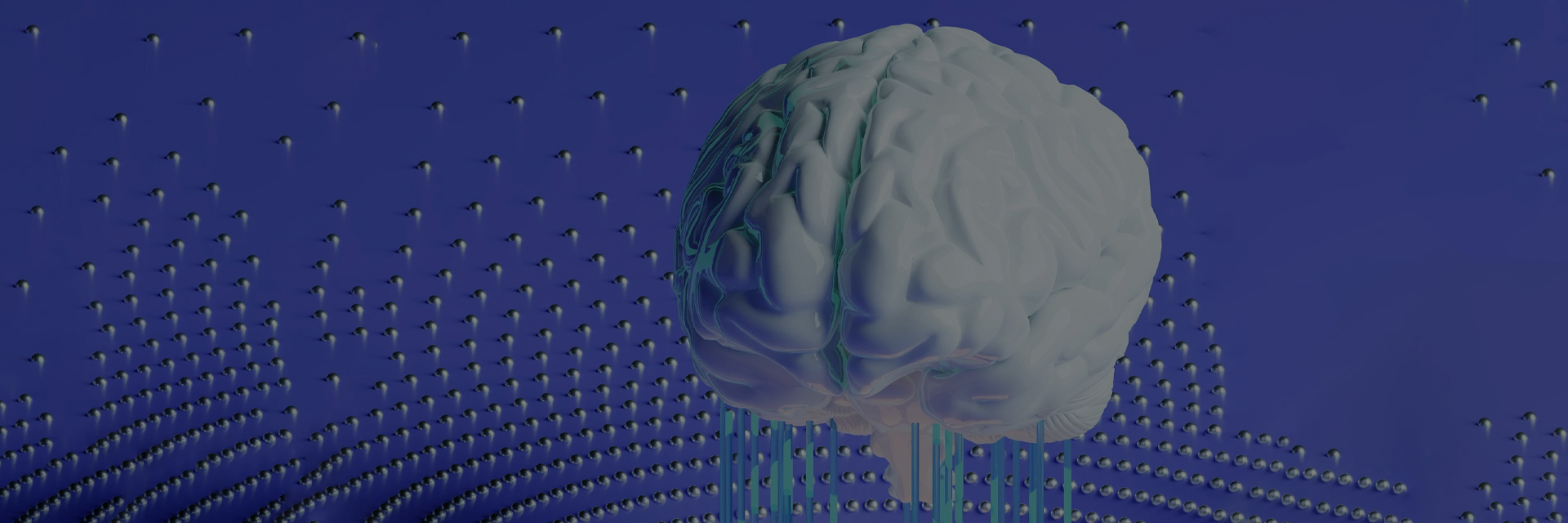 Brain Function Test  ( BFT